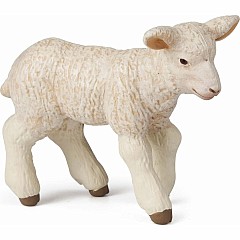 Merinos Lamb