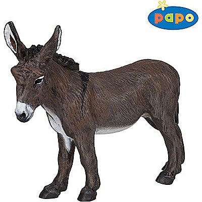 Provence Donkey