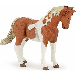 Papo France Pinto Mare