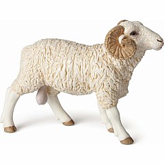 RAM