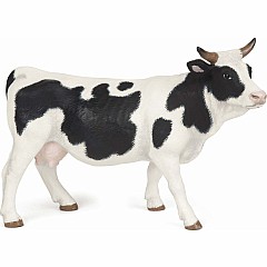 Piebald Cow