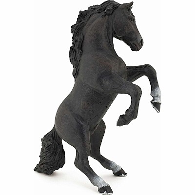 Black Reared Up Horse