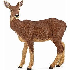 DOE