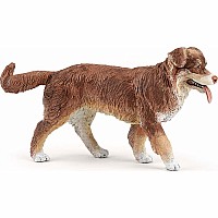 Papo France Australian Shepherd