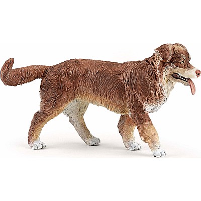 Papo France Australian Shepherd