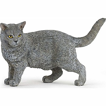 Papo Chartreux Cat