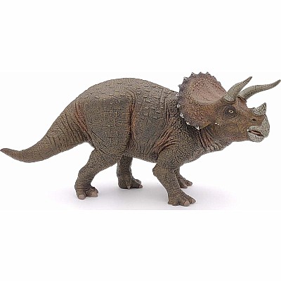 Triceratops