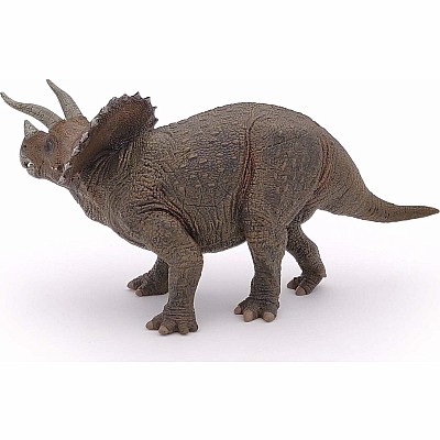 Triceratops