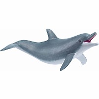 Dolphin, playing
