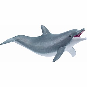 Playing Dolphin