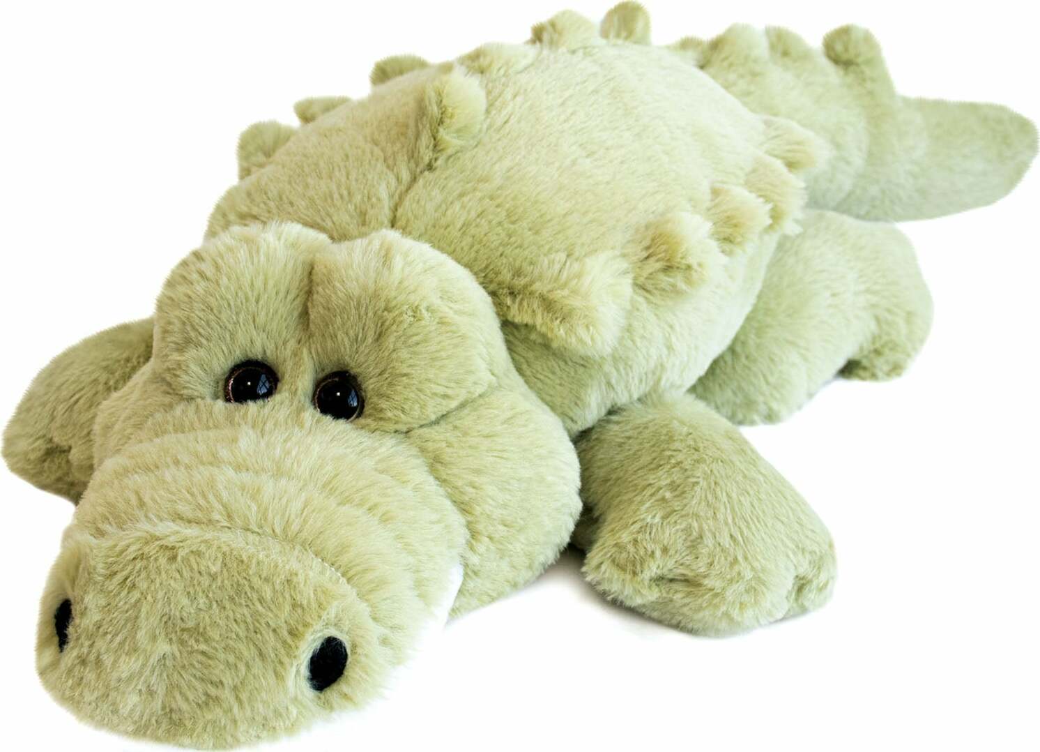 Histoire D'ours Crocodile Plush