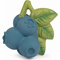 OLI&CAROL Jerry the Blueberry
