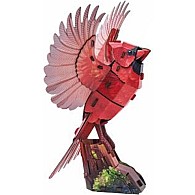 Sky Echo American Cardinal 