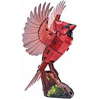 Sky Echo American Cardinal 