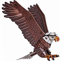 Sky Echo Bald Eagle 