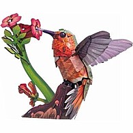 Sky Echo Hummingbird 