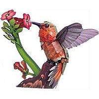 Sky Echo Hummingbird 