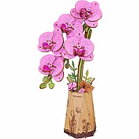 Purple Moth Orchid DIY Wooden Flower