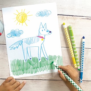 Color Appeel Crayon Sticks - Set of 12