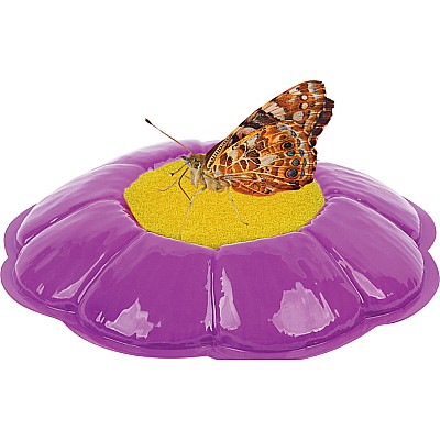 Butterfly Garden® Homeschool Edition