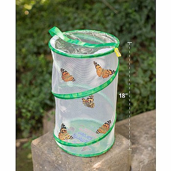 Giant Butterfly Garden with Life Cycle Figurines