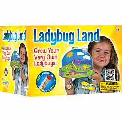 Ladybug Land
