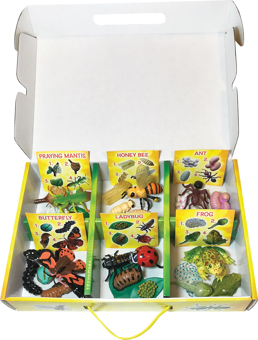 INSECT LORE LIFE CYCLE FIGURINES 24PC SET 