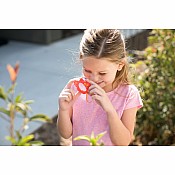Butterfly Mini Magnifiers- 3 different  colors