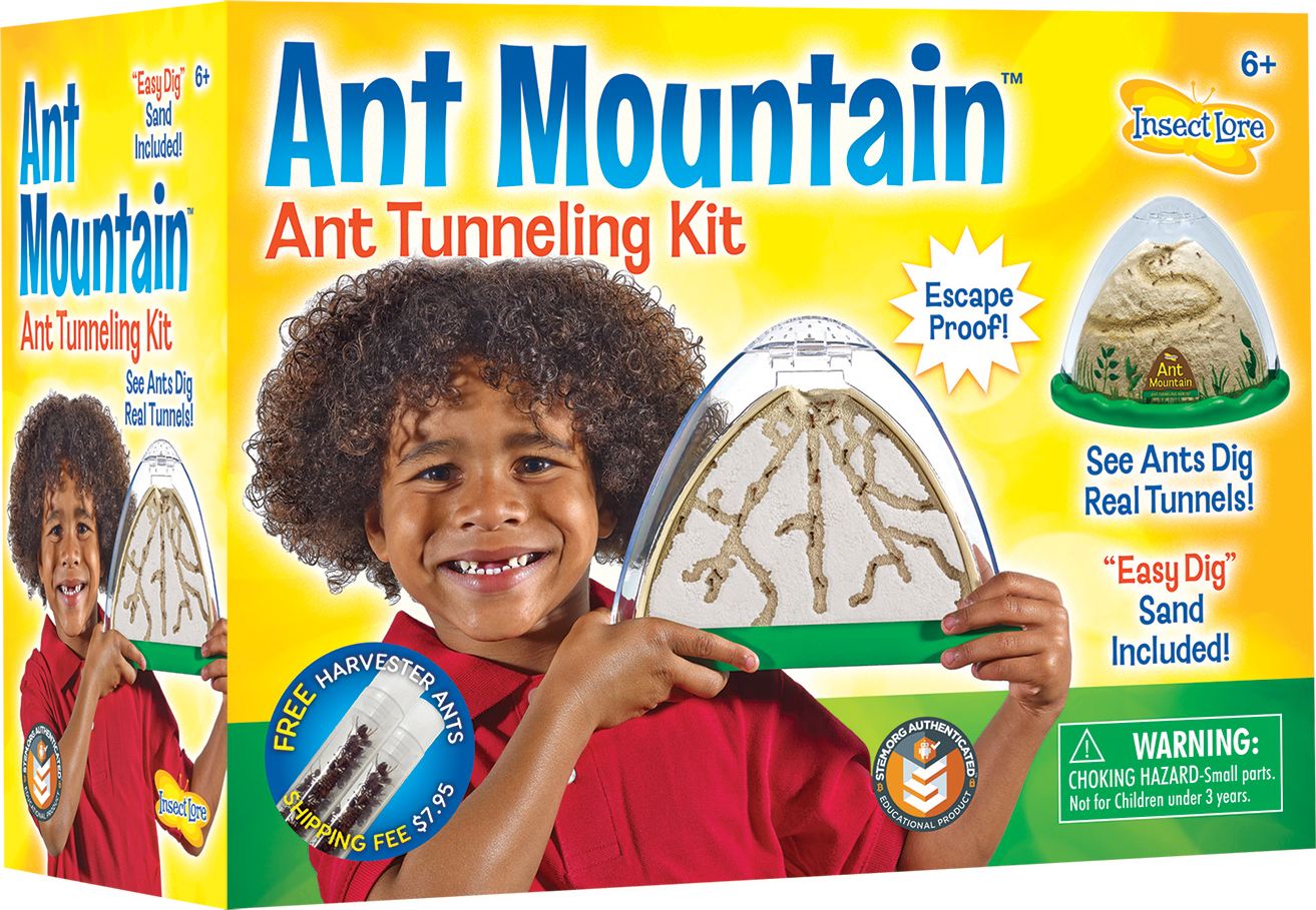 ant hill toy