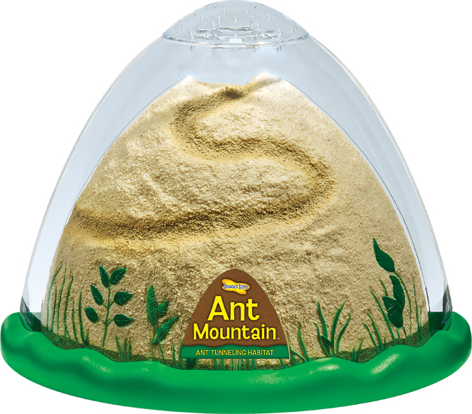 ant hill toy