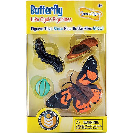 Butterfly Lifecycle Stages