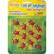 Lots Of Ladybugs