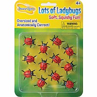 Lots Of Ladybugs