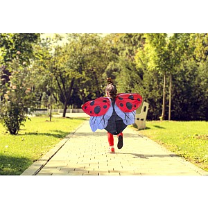 Red Dress-up Ladybug Wings