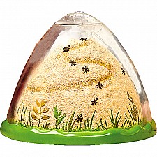 Ant Farm Mountain