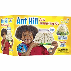 Ant Hill