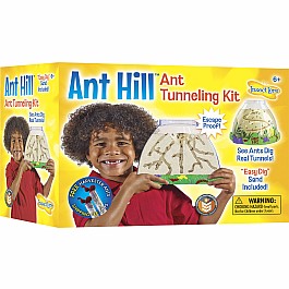 Ant Hill