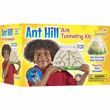 Ant Hill