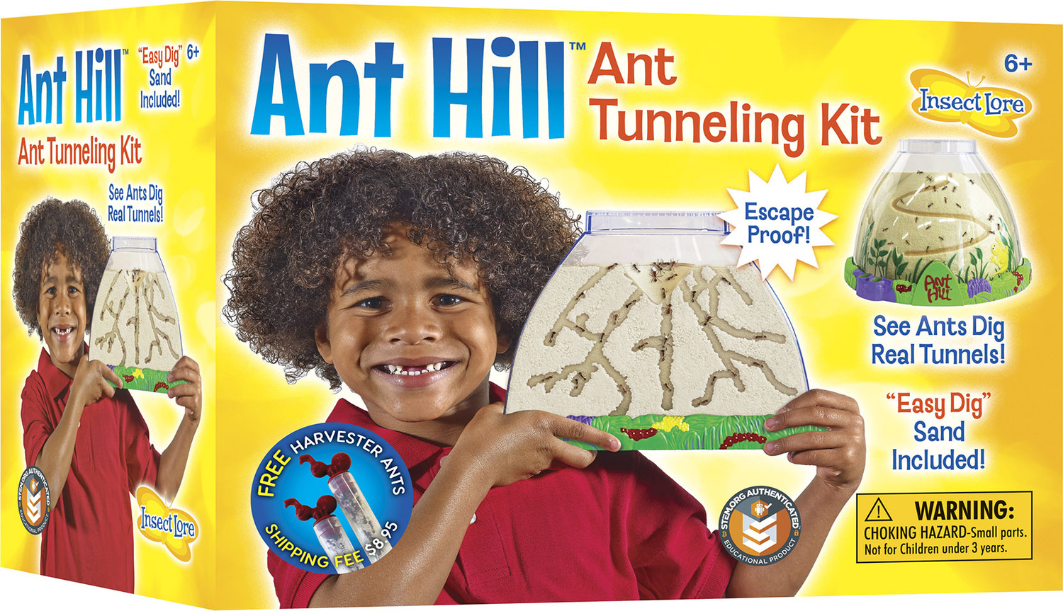 Ant Hill