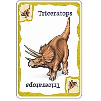 Dinosaur Card Game