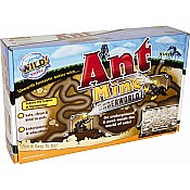 ANT MINE