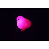 Pink Chick Light Up Squeeze Toy