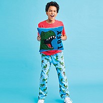 Skating Dinosaurs Plush Pants (X-Small)