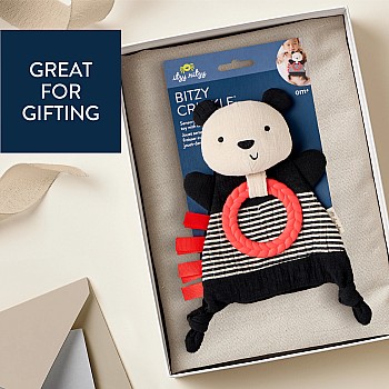 Bitzy Crinkle, Pauly the Panda