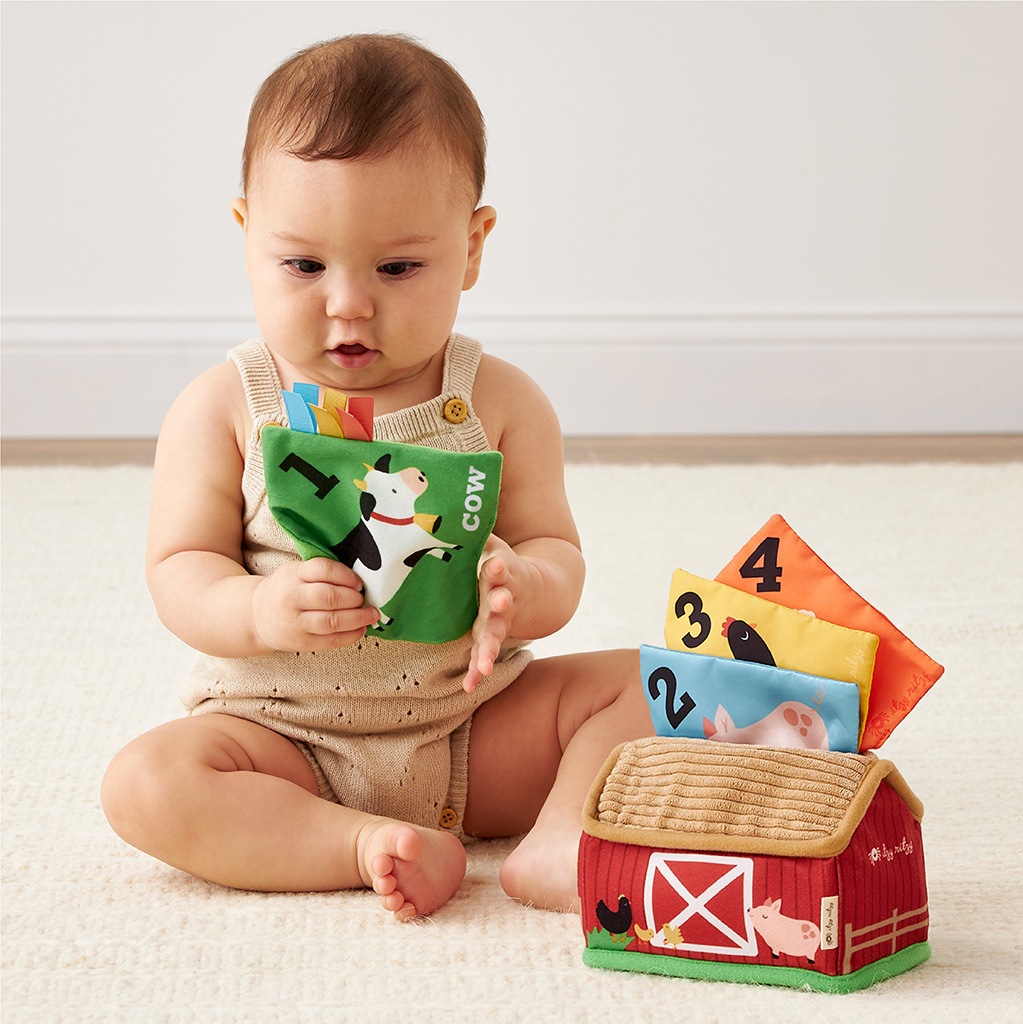 Itzy Sensory Scarves™ "Tissue” Box for Put-and-Take Play (Farm Friends)