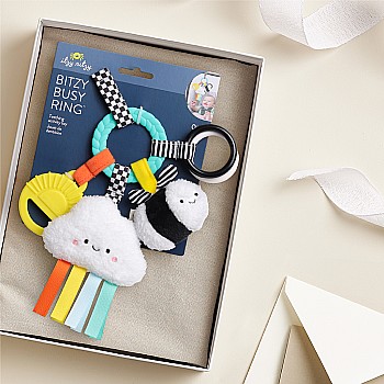 Bitzy Busy Ring  Teething Activity Toy, Brights