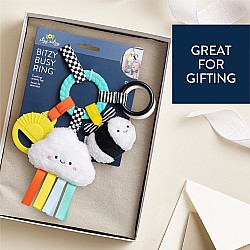 Bitzy Busy Ring  Teething Activity Toy, Brights
