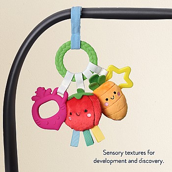 Bitzy Busy Ring Teething Activity Toy, Veggie