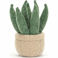 Amuseable Aloe Vera (Small)