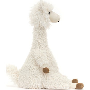 Alonso Alpaca